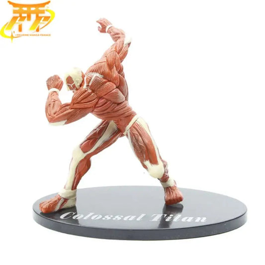 Kolossale Figuren – Attack on Titan™